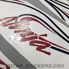 Kawasaki Ninja ZX-14 Special Edition 2007 decals