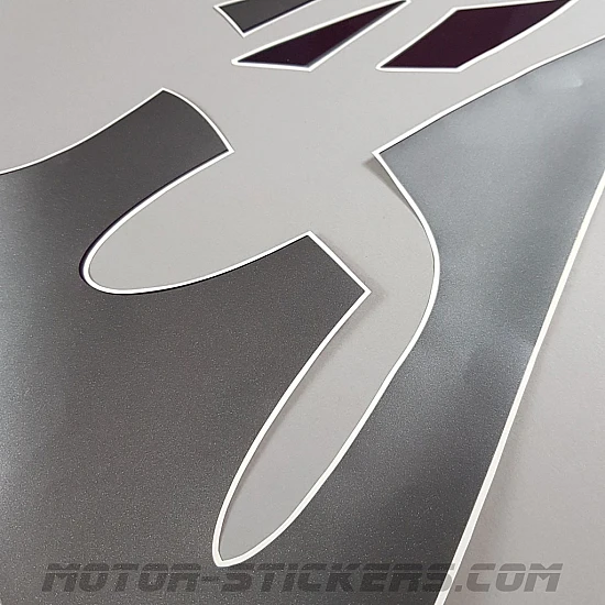 Kawasaki ZZR 600 1998