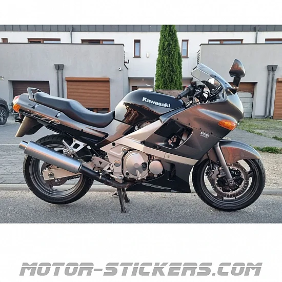 Kawasaki ZZR 600 1999-2001