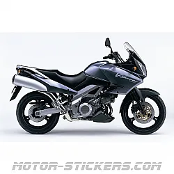 Suzuki DL 1000 V-Strom 2002