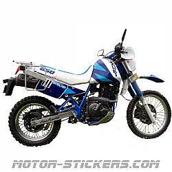 Suzuki DR 650 R/S (Dakar) 1990