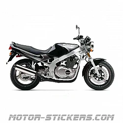 Suzuki GS 500E 2000