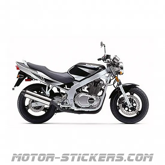 Suzuki GS 500E 2002