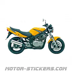 Suzuki GS 500E 2005