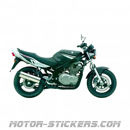 Suzuki GS 500E 2006