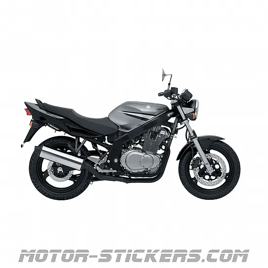Suzuki GS 500E 2007