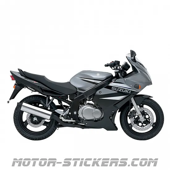 Suzuki GS 500F 2007