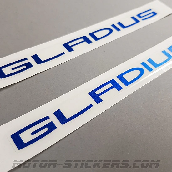 Suzuki SFV 650 Gladius 2009