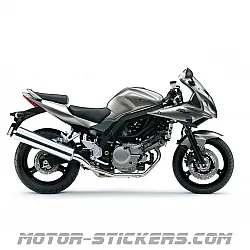 Suzuki SV 650S 2009
