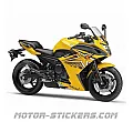 Yamaha FZ6R 2009