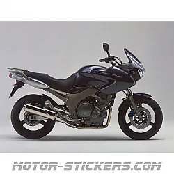 Yamaha TDM 900 2004