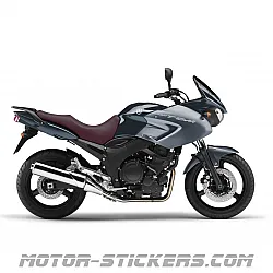 Yamaha TDM 900 2010