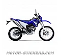 Yamaha WR 250R 2009