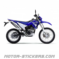 Yamaha WR 250R 2009