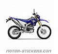 Yamaha WR 250R 2010