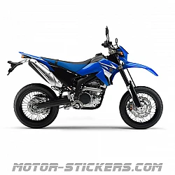 Yamaha WR 250X 2008
