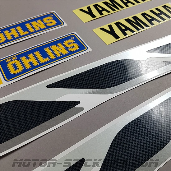 Yamaha XJR 1300 2001