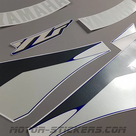 Yamaha YZF 600R Thundercat 2002