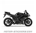 Yamaha YZF R1 2007