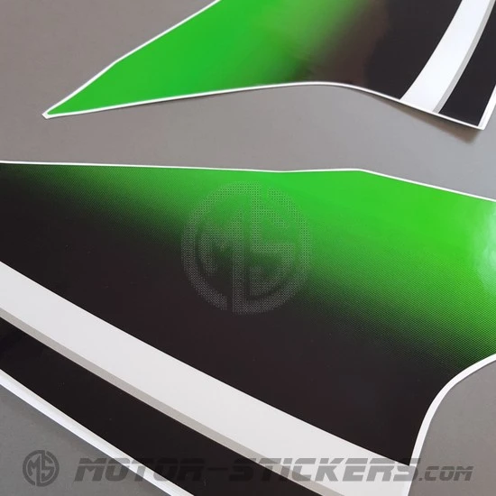 Kawasaki Ninja 300 2015