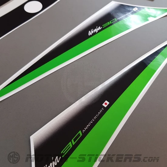 Kawasaki Ninja 300 2015