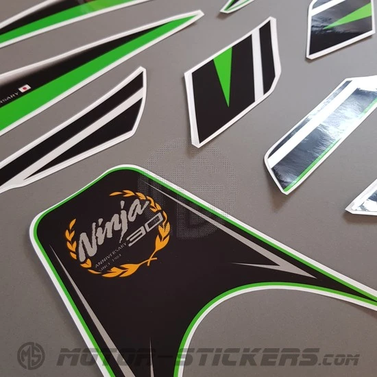 Kawasaki Ninja 300 2015