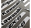 Kawasaki ZX-6R 2007