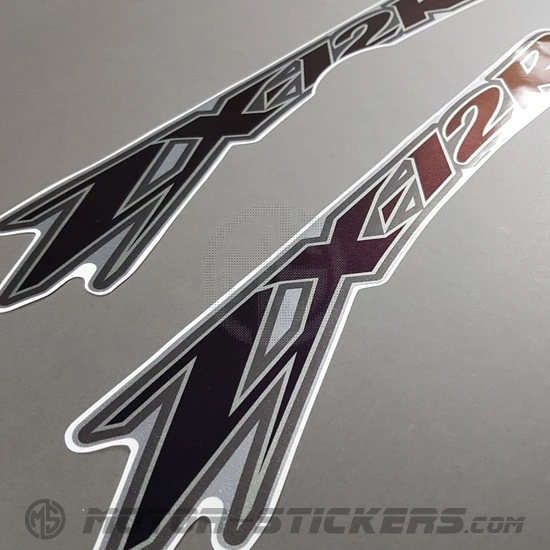 Kawasaki ZX-12R 2000