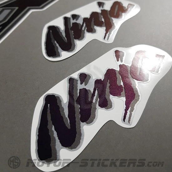 Kawasaki ZX-12R 2000