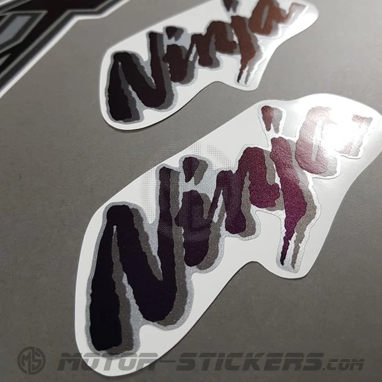 Kawasaki ZX-12R 2001