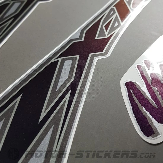 Kawasaki ZX-12R 2001