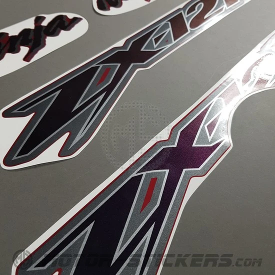 Kawasaki ZX-12R 2002