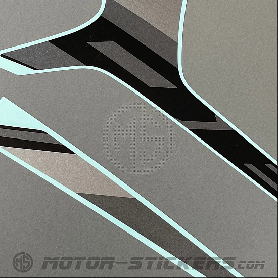 Suzuki DL 1050 DE V-Strom 2023