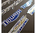Triumph Daytona 675 2011