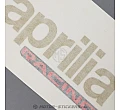 Aprilia Tuono V4 1100 Factory 2023