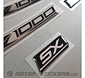 Kawasaki Z1000 SX 2018