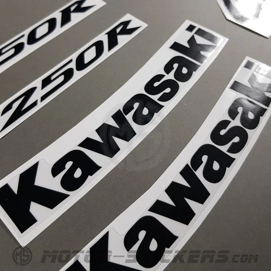 Kawasaki Ninja 250R 2008-2009