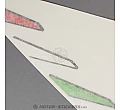 Aprilia Tuono 660 2024