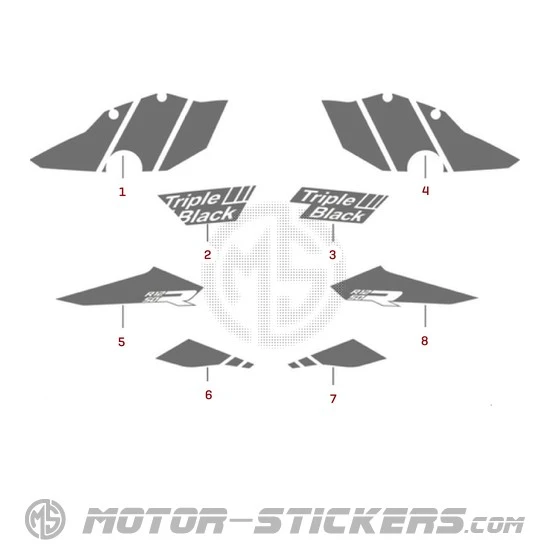 BMW R1250R Triple Black 2024