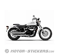 Honda VT750C SHADOW RS 2010
