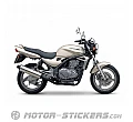 Kawasaki ER 5 1999