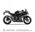 Kawasaki Ninja 300 2013