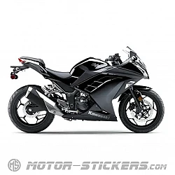 Kawasaki Ninja 300 2013