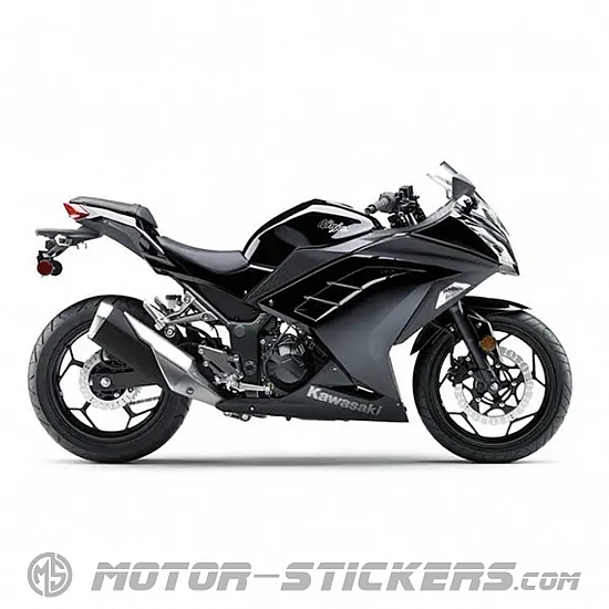Kawasaki Ninja 300 2013