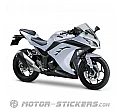 Kawasaki Ninja 300 2014