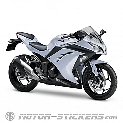 Kawasaki Ninja 300 2014