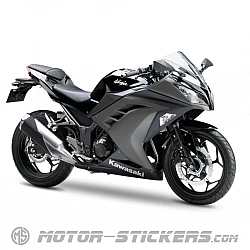 Kawasaki Ninja 300 2015