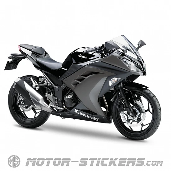 Kawasaki Ninja 300 2015