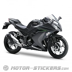 Kawasaki Ninja 300 2016