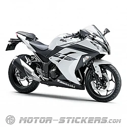 Kawasaki Ninja 300 2017